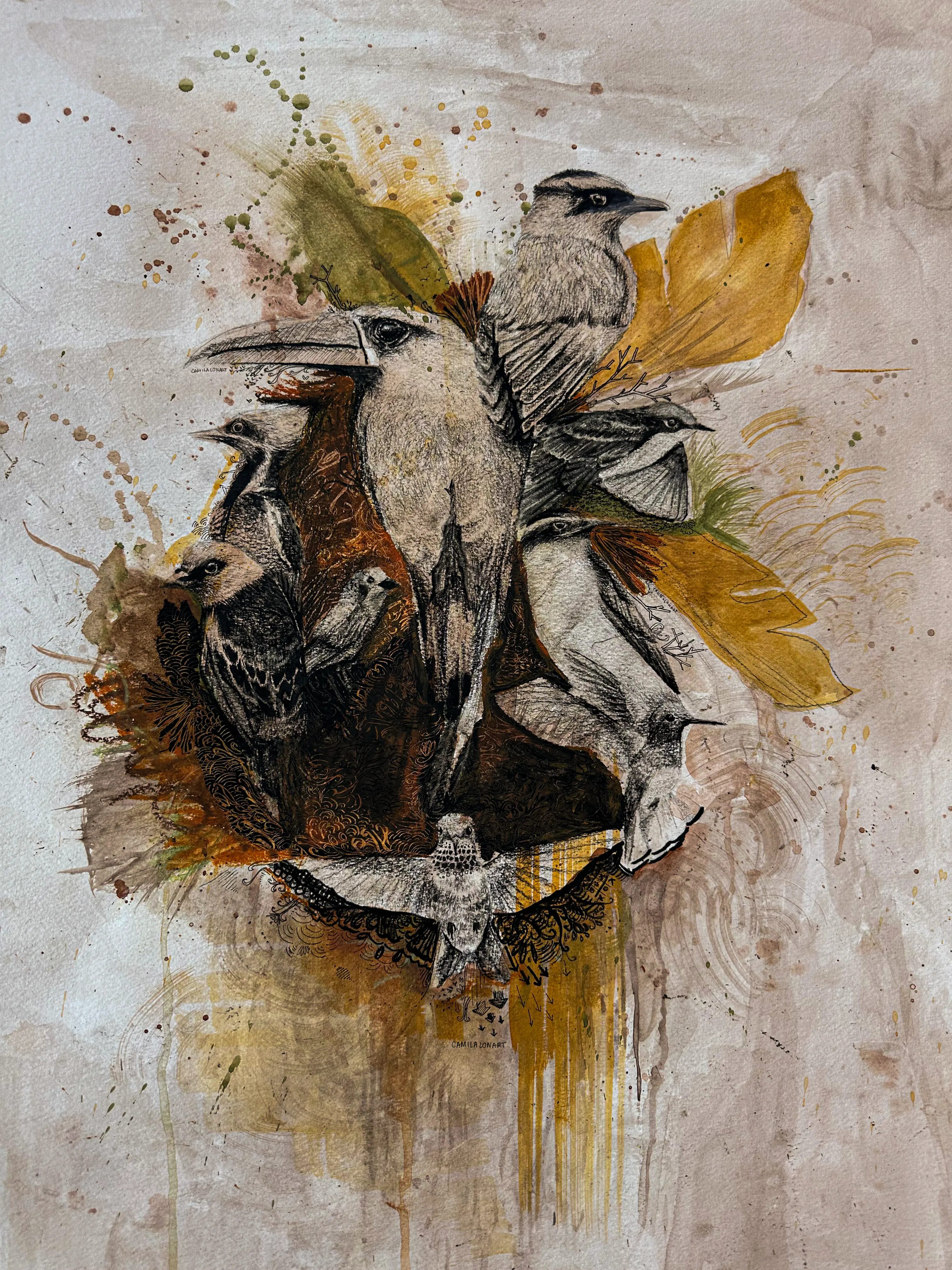 Aves del Quindío — Watercolor and oil pastel on paper